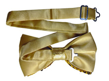 Indlæs billede til gallerivisning Guld Drenge Butterfly